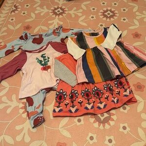 Lot of 3-6 month Tea Collection